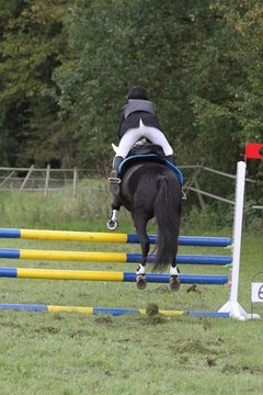 Bild 1381 - WBO-Turnier am 18.9.11